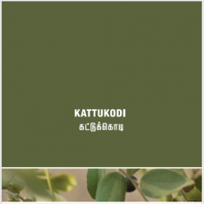 Kattukodi Powder - 100gms