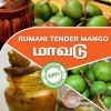 Rumani Tender Mango (Maavadu)